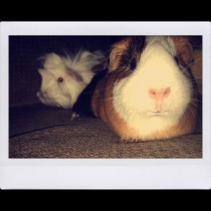 Meet your Posher, Jeanette